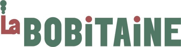 site wordpress bobitaine logo