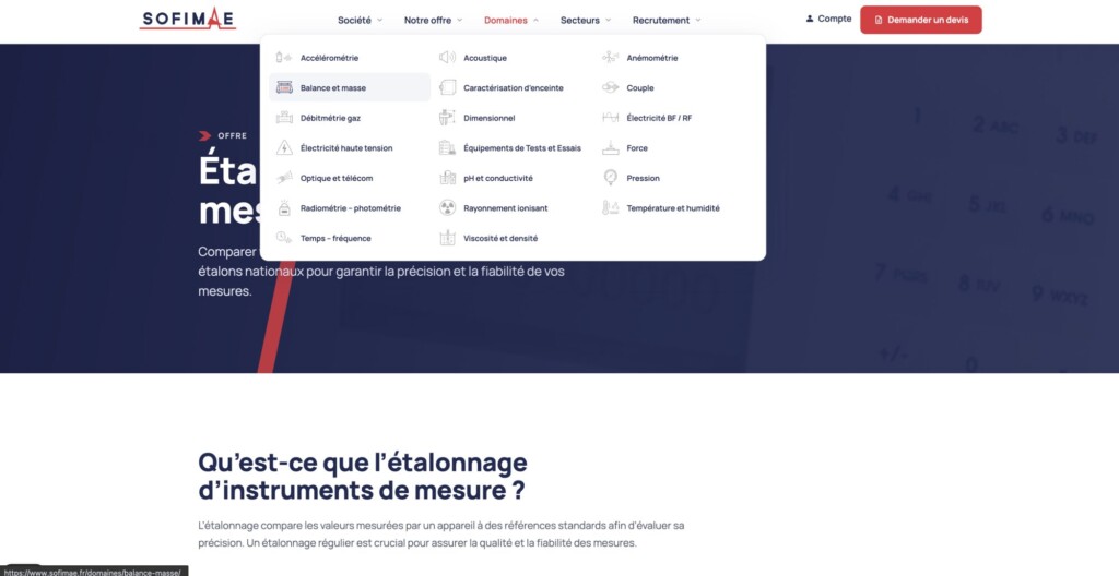 Refonte de site Internet WordPress 3 Menu des domaines de mesure